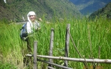 Trekking w Himalajach 2008.