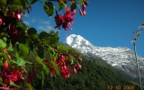 Trekking w Himalajach 2008.