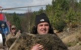 Filip Zięba prowadzi program ochronny tatrzańskich niedźwiedzi. Na zdjęciu - w Szwecji. Fot. www.tpn.pl 