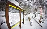 Fot. Marcin Bukowski/Tatrzański Park Narodowy